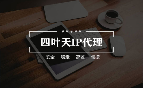 【邵阳代理IP】如何快速搭建代理IP？怎么检查代理的效果？